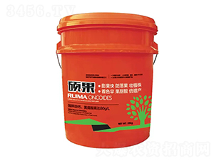 �T���_ʩ��-�̶�����