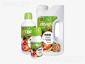 ΢�z�ґҸ�������-�̶�����