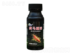 �E�R���������܄�-�E�R����-�I�x����