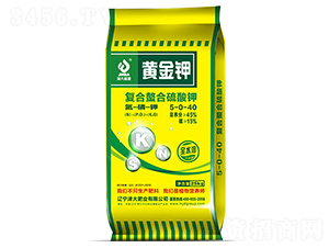 ��(f��)�����������-���ʢԴ