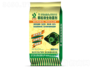 �w��΢�������-���ʢԴ