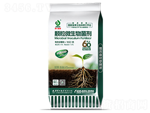 10�|����w��΢�������-���ʢԴ