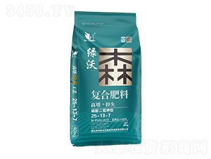 ���������͏�(f��)�Ϸ���25-13-7-�G��ɭ