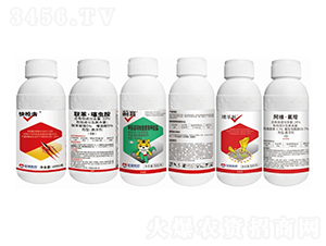 �����E�R��Q����-�����