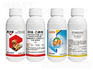 ���Լt��֩���Q����-�����