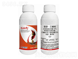 40%�¡�������Ҹ���-�D�Ʉ�-�����