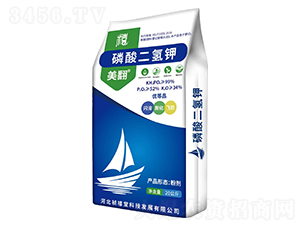 ��������-����-������