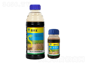 20%���ݿ�-������-�V�|���r(n��ng)