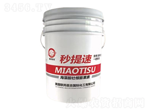 ������Ѹ������-������-(li��n)��μ�