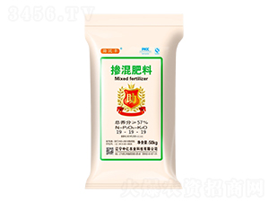 �������19-19-19-�����S-�Ѓ|�r(n��ng)�I(y��)