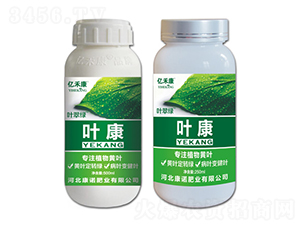 ��עֲ���S�~-�~��-���Z�ʘI(y��)