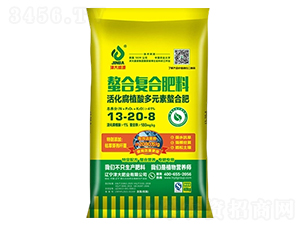 ���ֲ���Ԫ�����Ϸ�13-20-8-���ʢԴ