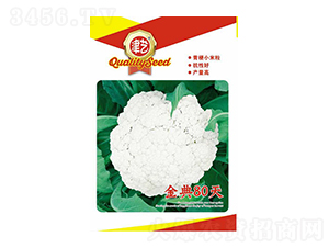 ���˷N��-���80��-���S�r(n��ng)�I(y��)