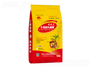 ������ЙC��-�����`-���r(n��ng)�ʘI(y��)