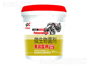 �S�����΢�������-������}�����-�е����r(n��ng)