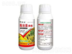 �˽z�ӌ�������-�r(n��ng)���r(n��ng)�I(y��)