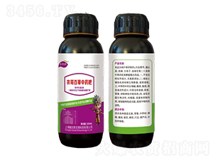 �r(n��ng)��ٲ��в�ˎ��-�r(n��ng)���r(n��ng)�I(y��)