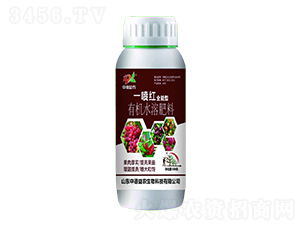 ȫ�����ЙC(j��)ˮ�ܷ���-һ���t-�е����r(n��ng)