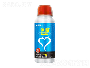 �������a��-�鵾-���p��-��ɽ�p��