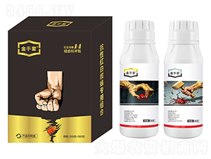 �t��֩��1+1�M�ϼ��g(sh��)��-������-��ԣ�� 