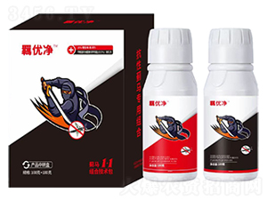 �E�R1+1�M�ϼ��g(sh��)��-�b��(y��u)��-��ԣ�� 