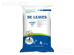 ���~΢��������ߵ���-����ʩ