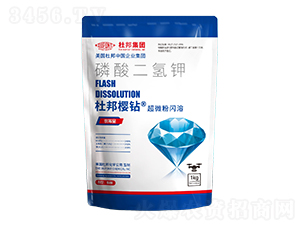 ��������-�Ű���@-�Ű�