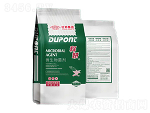 ΢�������-���-�Ű�