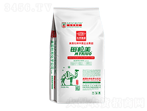 ÿ����-�Ű�