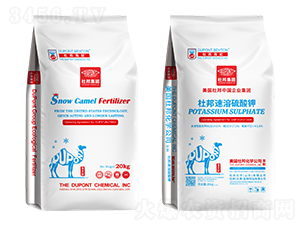 ���������-�Ű��-�Ű�