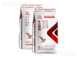 ��(f��)�Ϸ���17-17-17+TE-�Ű����-�Ű�