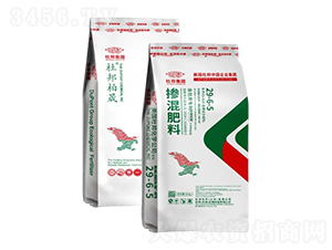 �������29-6-5-�Ű����-�Ű�