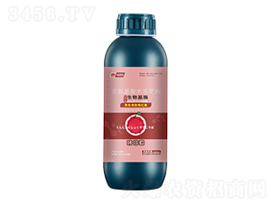 �D(zhu��n)ɫ�������tø-���_(t��i)��