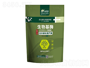 ���L�������aø500g-���_��