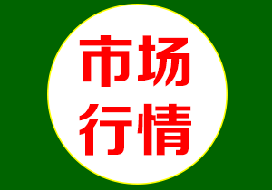 �Ј�����