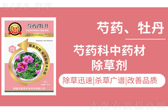 ��ˎ���݄�����ʲô?��ˎ���݄��䷽